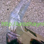 Как сделать павлина из пластиковых бутылок