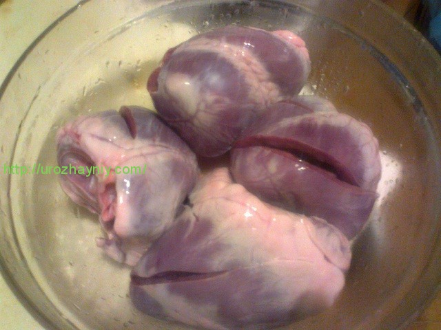 Свиное Сердце Рецепты Приготовления С Фото
