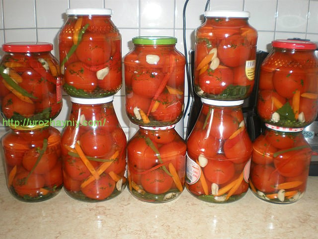 помидоры на зиму с 

