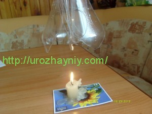 Лилии из пластиковых бутылок