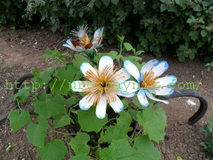 Ромашка из пластиковой бутылки