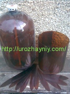 Как сделать павлина из пластиковых бутылок