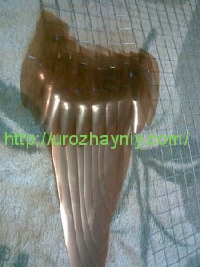 Как сделать павлина из пластиковых бутылок