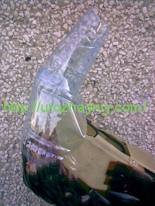 Как сделать павлина из пластиковых бутылок