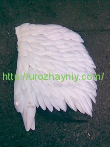 Садовый лебедь своими руками