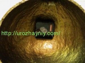 Поделки из сухой тыквы