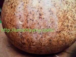 Поделки из сухой тыквы