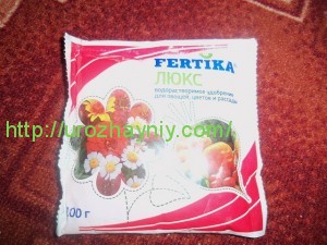 выгонка тюльпанов дома