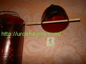 Кормушка из пластиковой бутылки