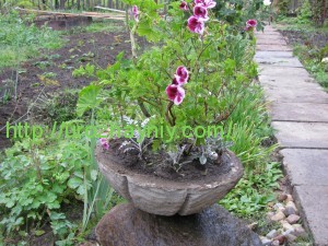 Гипертуф своими руками