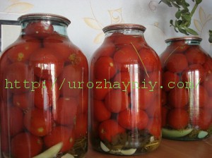 Как заготовить помидоры на зиму