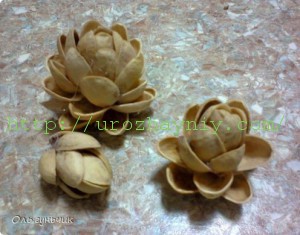 Топиарий из фисташек