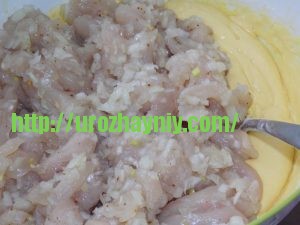 Оладьи из курицы. Пошаговый рецепт Натальи Карпушенковой