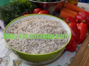 Рассольник на зиму. Пошаговый рецепт Натальи Карпушенковой