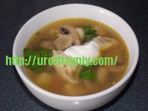 Куриный суп с грибами