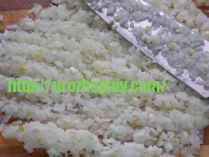 Оладьи из курицы. Пошаговый рецепт Натальи Карпушенковой