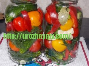 Маринованные огурцы по-болгарски от Натальи Карпушенковой