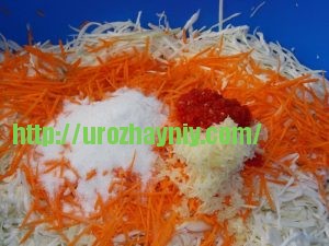 Маринованный салат с капустой и баклажанами. Погашовый рецепт Натальи Карпушенковой