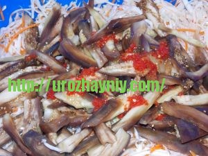 Маринованный салат с капустой и баклажанами. Погашовый рецепт Натальи Карпушенковой