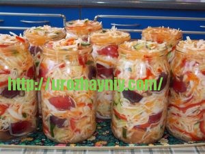 Салат с капустой и сливой на зиму. Пошаговый рецепт Натальи Карпушенковой