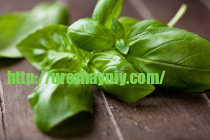 Косметика, которую вы можете вырастить дома! Какие использовать в уходе за лицом и кожей??